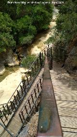 Sendero Río Cañamares. 