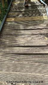 Sendero Río Cañamares. Estado de los tablones de las pasarelas