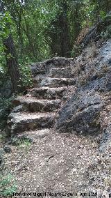 Sendero Río Cañamares. Escaleras