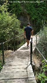 Sendero Río Cañamares. 