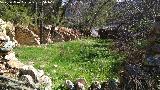 Cortijo del Chorreón. Corral