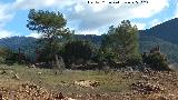 Cortijo del Chorreón. 