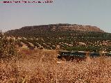 Los Alcores. Desde el Puente de Cañete
