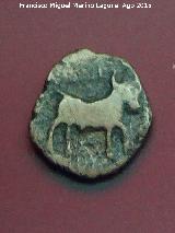 Obulco. Moneda Divisor de Obulco. Museo Arqueológico Provincial de Jaén