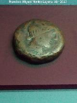 Obulco. Moneda de Obulco. Museo Arqueológico Provincial de Jaén