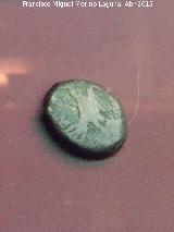 Obulco. Moneda de Obulco. Museo Arqueológico Provincial de Jaén
