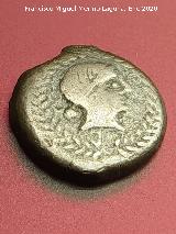 Obulco. Moneda Divisor de Obulco. Anverso Tanit. Museo Arqueol�gico Provincial de Ja�n