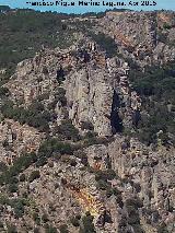 Pilar de los Órganos. 