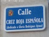 Calle Cruz Roja Española. Placa