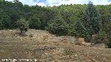 Cortijo del Hornillo. Balsas del lándano