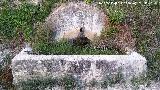 Fuente del Cruce de la Central Hidroel�ctrica. 