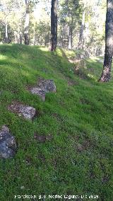 Palacio Musulm�n de Santa Catalina. Muralla este