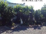 Cortijo del Baño. 
