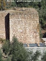Molino del Almeriche. Cubo