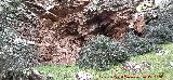 Pinturas rupestres del Cerro de la Caldera. Abrigo