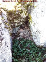 Poblado islámico de la Coronilla. Entrada cegada a una cueva