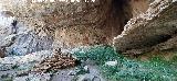 Cueva de las Grajas. 