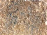 Pinturas rupestres del Cañón del Quiebrajano. Cáprido de la izquierda