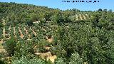 Aldea Los Tiscares. Vistas