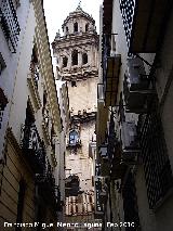 Catedral de Jaén. Torre Sin Campanas. Desde la Calle Julio Ángel