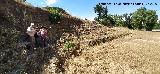 Campo de F�tbol del Centenillo