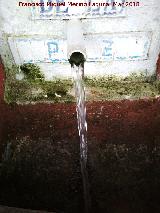 Fuente de la Paz. Ca�o