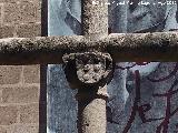 Cruz de Mosén Rubí. Escudo