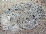Abrigo Neandertal de la Serrezuela. Puntos de anclaje para la excavación arqueológica