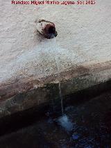 Fuente Ribera. Caño