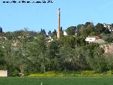 Chimenea de la Papelera de Jaén. 