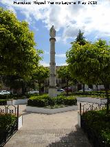 Plaza de la Constitucin. 