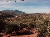 Aldea Cortijada de la Mohína. A la izquierda El Regüelo y a la derecha la Cortijada de la Mohína