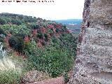 Paredón de la Atalaya. Barranco de la Atalaya desde el paredón