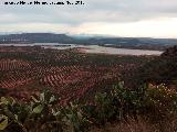 Paredón de la Atalaya. Vistas