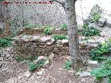 Molino de la Cimbarra. 