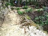 Molino de la Cimbarra. Caz