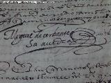 Archivo Histrico Provincial. Firma de Miguel de Cervantes. Archivo Histrico de Jan
