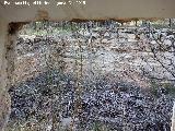 Cortijo del Frontón de Caño Quebrado. Patio