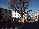 Plaza Bernabé Cobo. 
