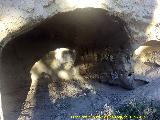 Casas Cueva de El Salón. 