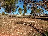 Área recreativa del Cerro de las Cruces. 
