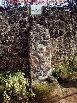 Fuente de Caada Aranda. 