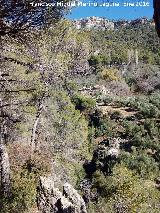 Cortijo de la Loma del Guijarrón. 