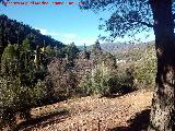Cañada de la Madera. 