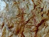 Pinturas rupestres del Abrigo del Bailn. Restos devados de la parte inferior del panel principal