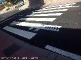 Pasos de Peatones del Lagarto de Jaén. 