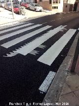 Pasos de Peatones del Lagarto de Jaén. 