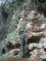 Sendero del Susana. Paredes rocosas del cañón