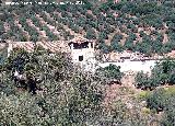 Cortijo de la Cañavera. 