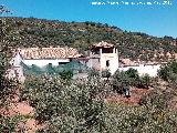 Cortijo de la Cañavera. 